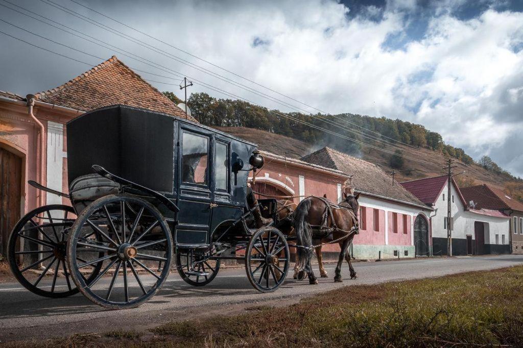 Valea Verde Retreat Transilvania Cund Exterior photo